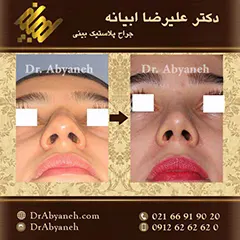 دکتر علیرضا ابیانه